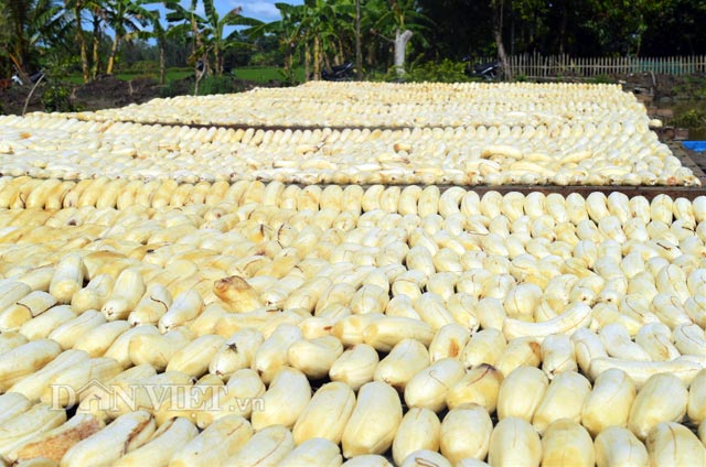 Tận mắt quy trình sản xuất chuối khô Cà Mau nổi tiếng