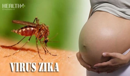 Ca mang thai thụ tinh ống nghiệm đầu tiên bị nhiễm Zika